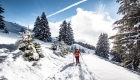 Op skisafari langs 12 bergplaatsen